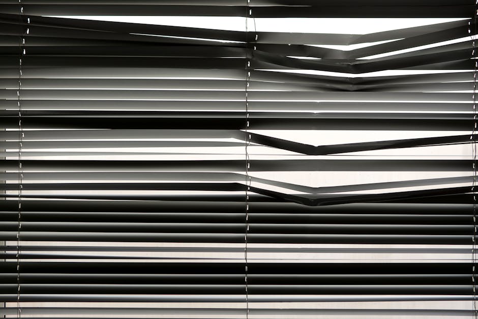 Modern fabric roller window shades filtering sunlight